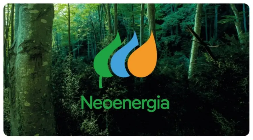 Neoenergia S.A